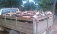 /products/a2-metros-cubicos-aproximadamente-1000-kg-/